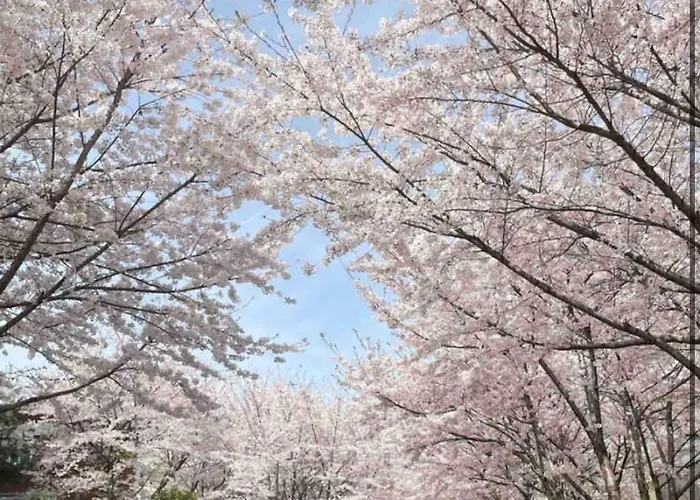 Hongdae Park 3room *